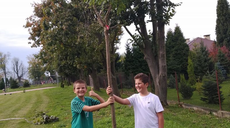 Na zdjęciu widicznie dwaj chłopcy sadzący drzewo.