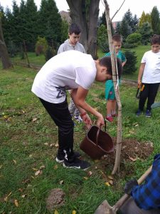 Uczniowie Zespołu Szkół w Zręcinie sadzący drzewa